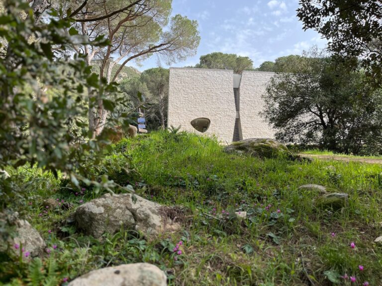 una vista frontale del Museo Organica, nel bosco di Curadureddu, presa dal basso, tra erba e sassi