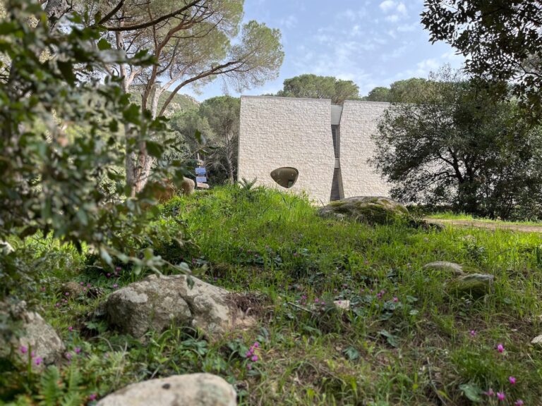 l'edificio del Museo Organica visto attraverso la vegetazione del bosco circostante