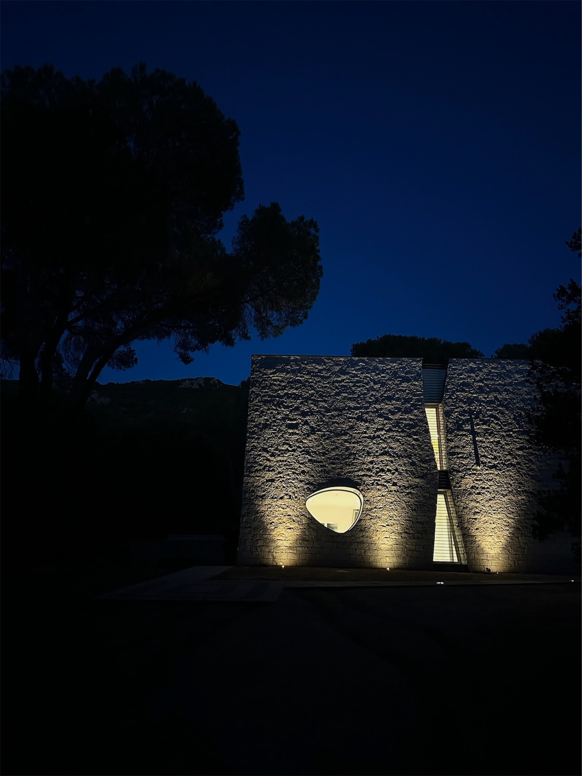 l'edificio del museo Organica illuminato di notte